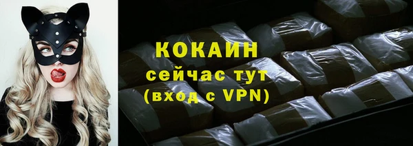 гидра Балахна