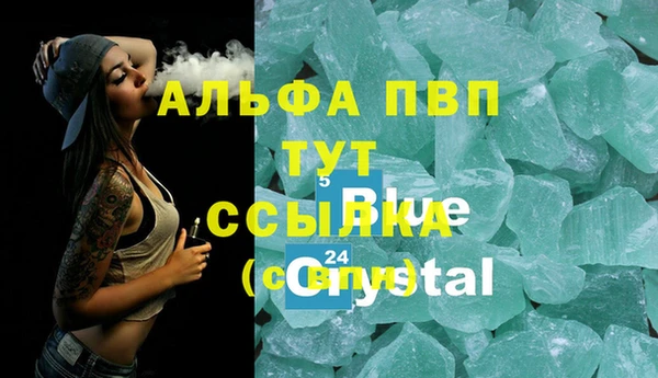 гидра Балахна