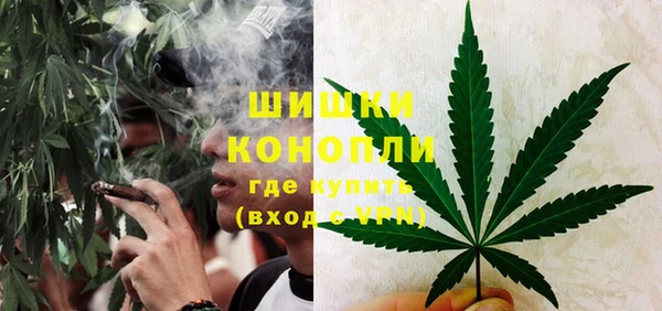 гидра Балахна