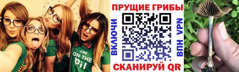 Галлюциногенные грибы ЛСД  Талдом 